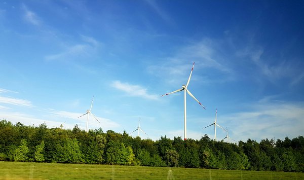 Establishing a UK Renewable Energy Consultancy: Your Comprehensive Guide to Meeting Sustainability Standards